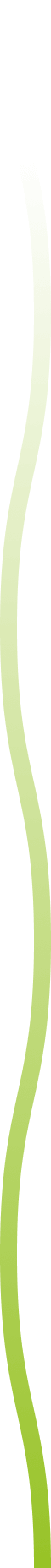 Ligne verte